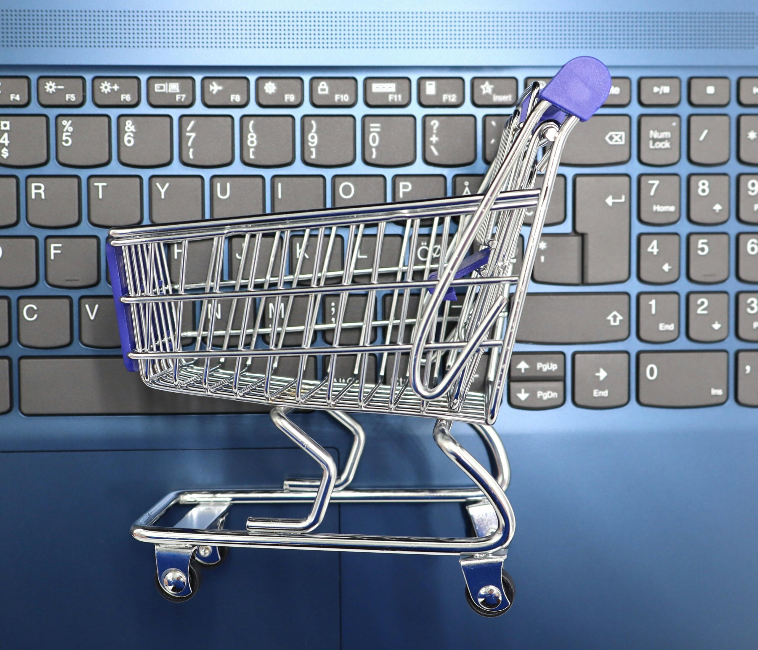 Introduction to E-Commerce Websites